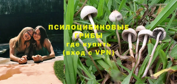 тгк Балахна
