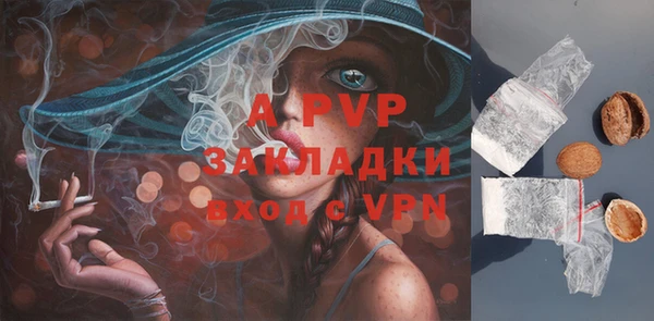 тгк Балахна