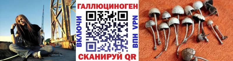 Галлюциногенные грибы Cubensis  закладки  Трёхгорный 